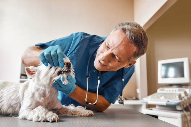 Best Urgent Care for Lost Fillings or Crowns in Carbondale, PA